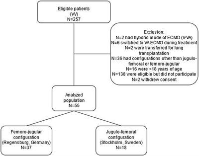 Recirculation in single lumen cannula venovenous extracorporeal membrane oxygenation: A non-randomized bi-centric trial